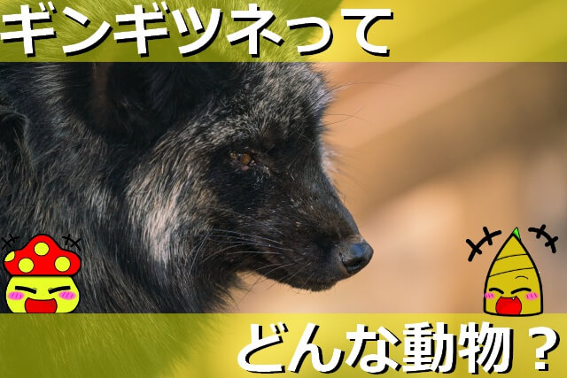 Thumbnail of post image 116